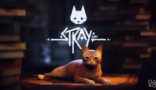【STRAY】の評判・感想・レビュー!神ゲーかクソゲーか?