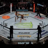 MMAの始め方 - 初心者のための完全ガイド